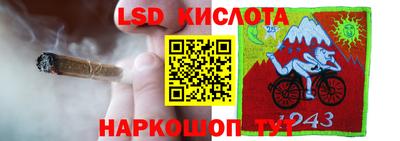дмт Малгобек
