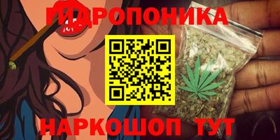 дмт Малгобек