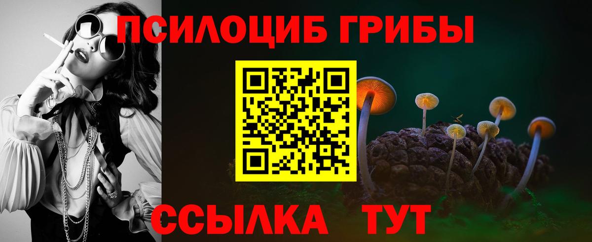 Псилоцибиновые грибы мицелий Волгоград